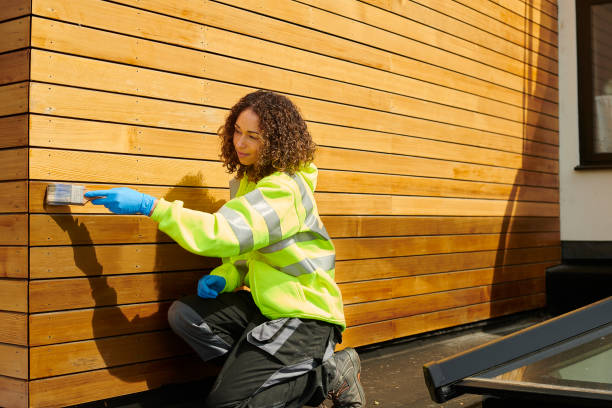 Best Siding Removal and Disposal  in Salem, SD